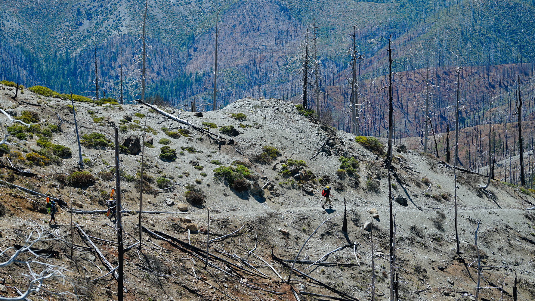 Hiking in the Kalmiopsis Wilderness