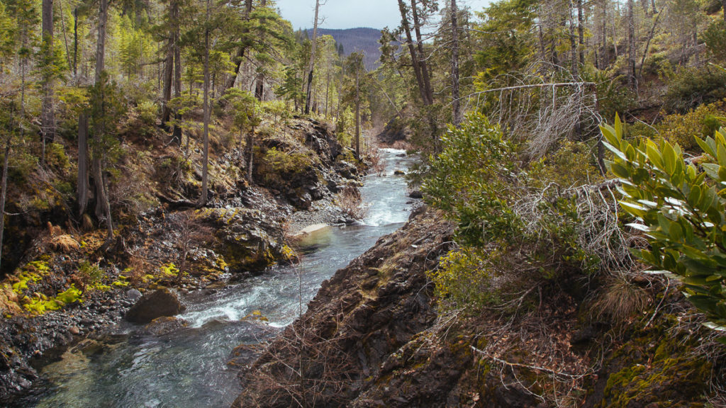 Baldface Creek flows through a remote canyon just South of the Kalmiopsis Wilderness